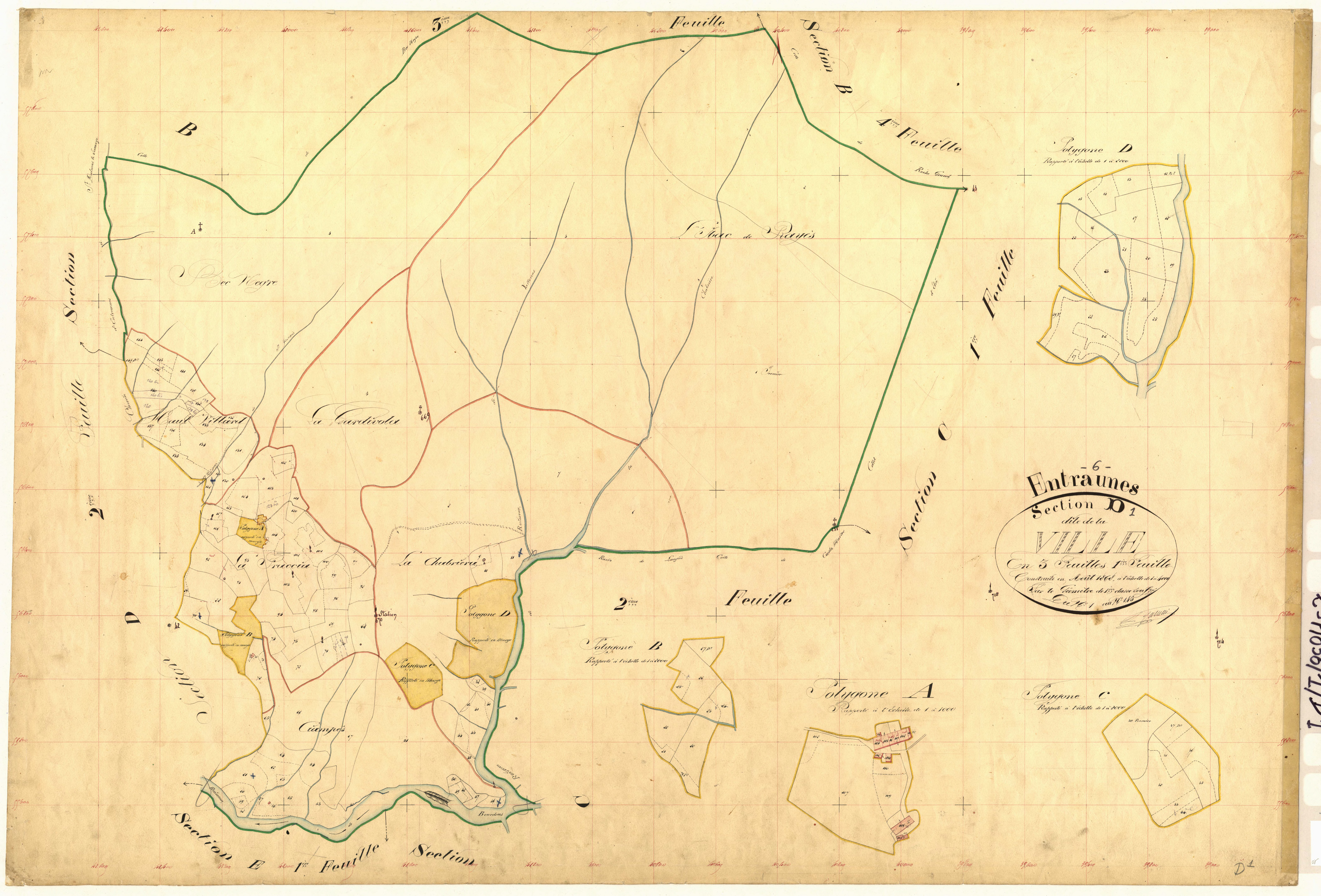 La Ville. - Plan de section, D1