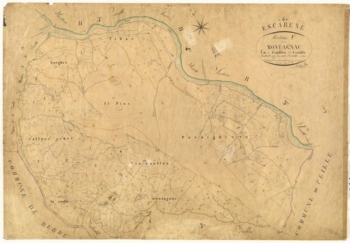 Montagnac. - Plan de section, C2