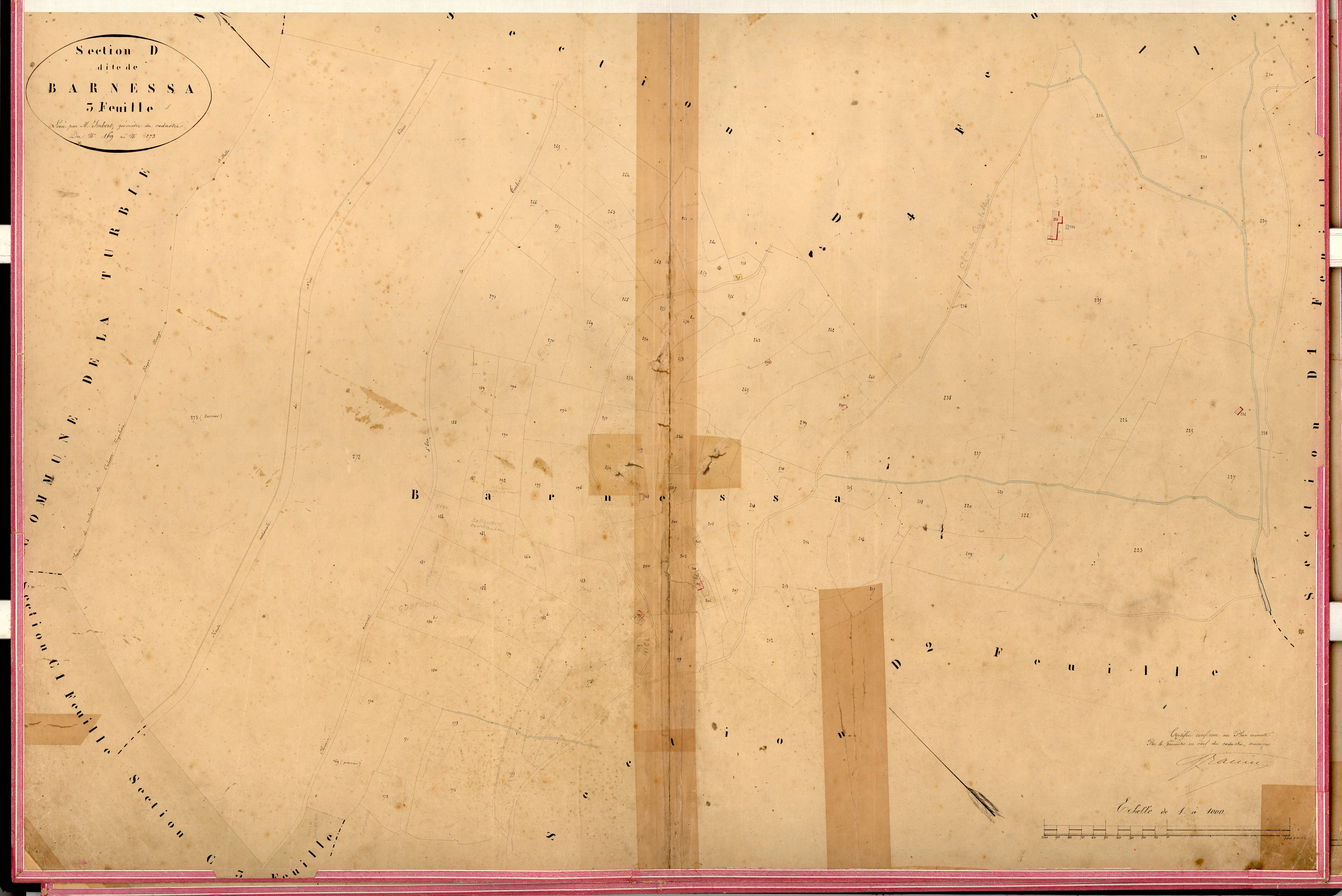 Barnessa. - Plan de section, D3