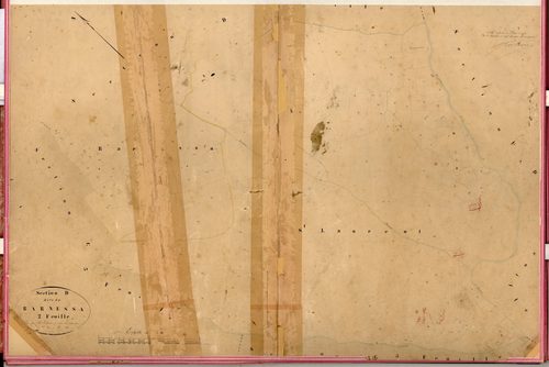 Barnessa. - Plan de section, D2