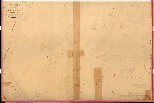 Barnessa. - Plan de section, D3
