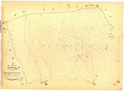Barnessa. - Plan de section, D4
