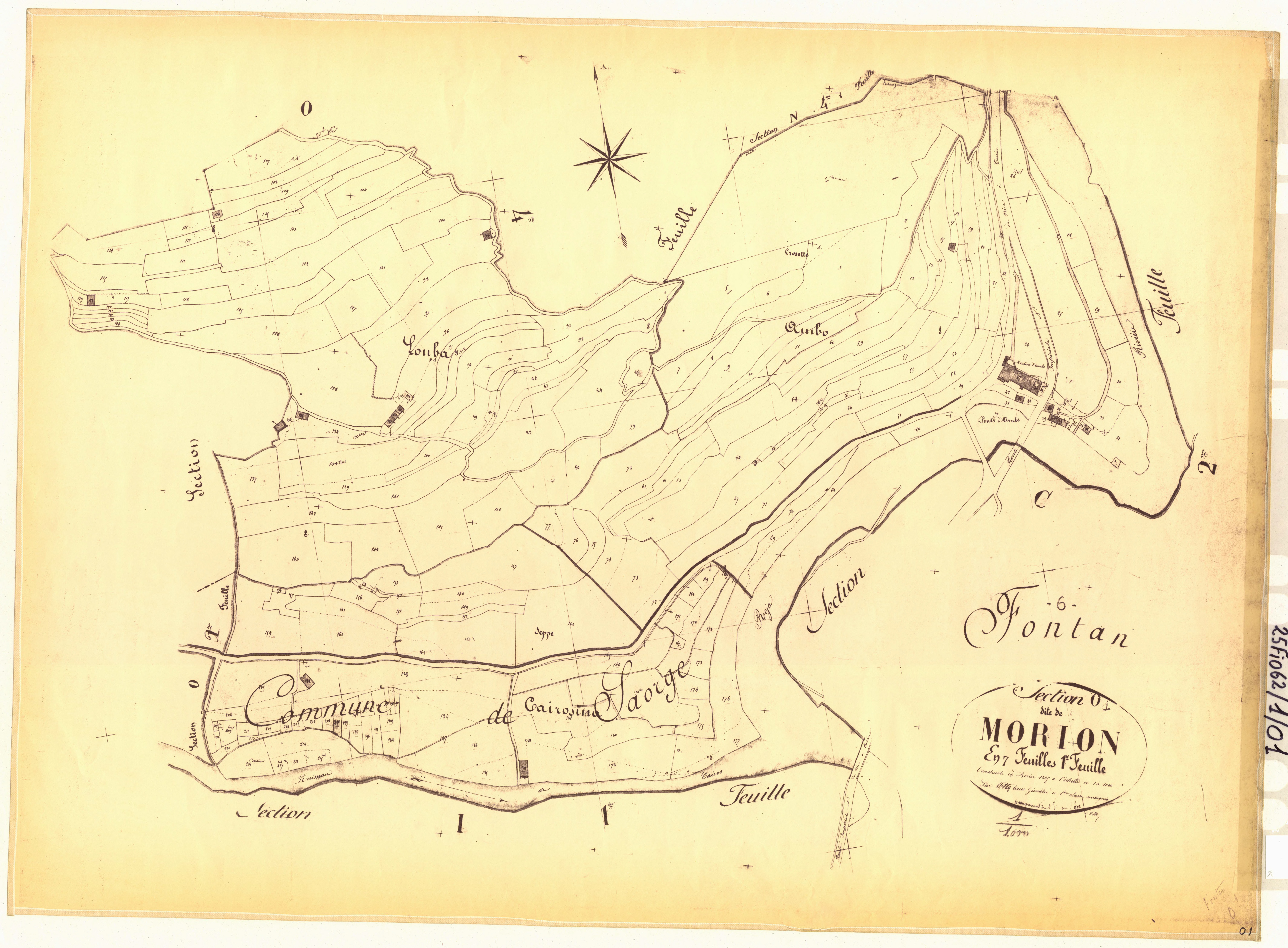 Morion. - Plan de section, O1