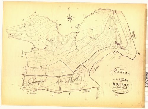Morion. - Plan de section, O1