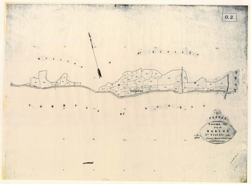 Morion. - Plan de section, O2