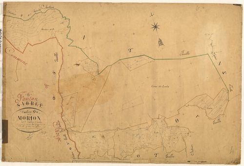Morion. - Plan de section, O4