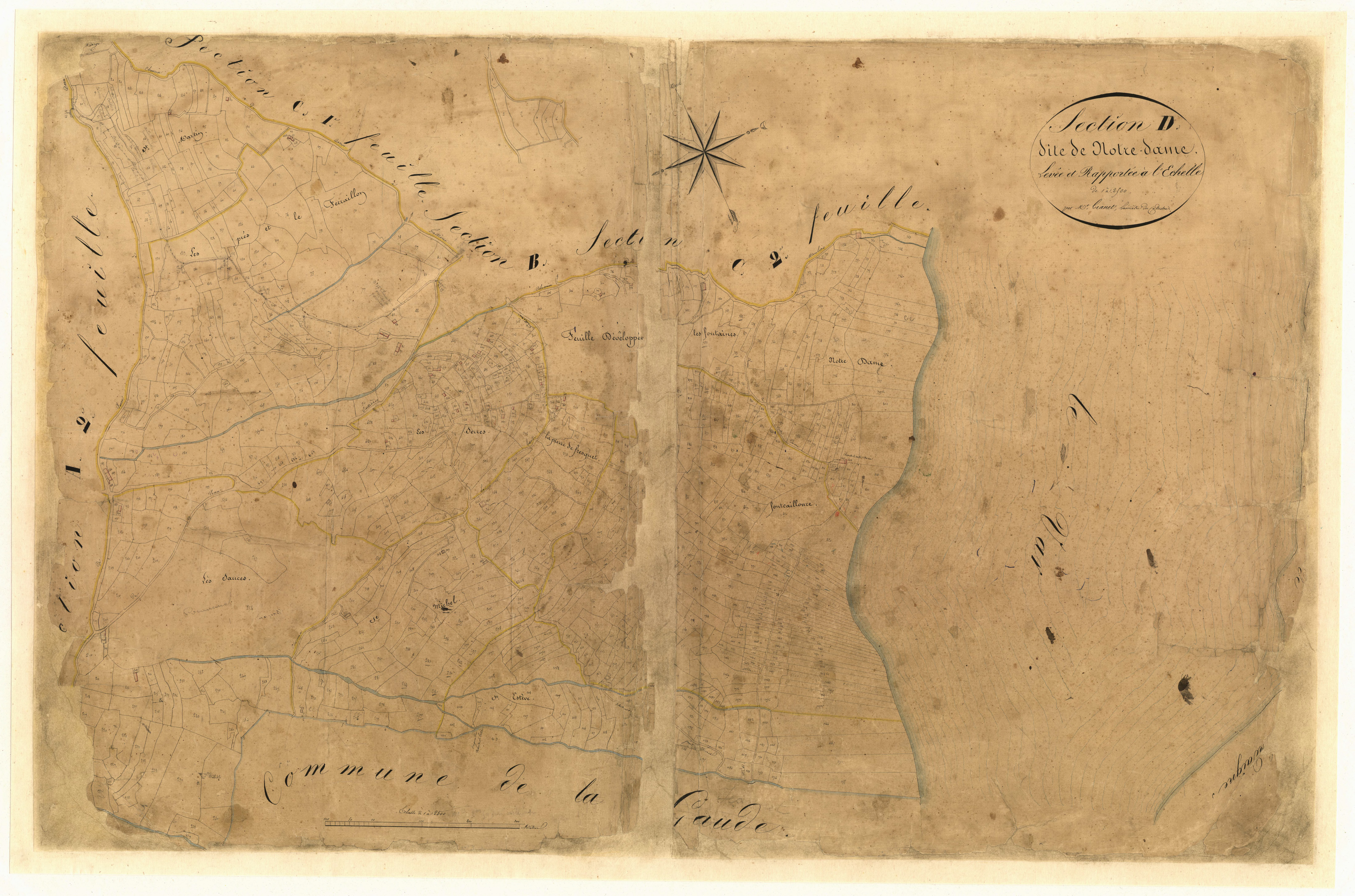 Notre Dame. - Plan de section, D