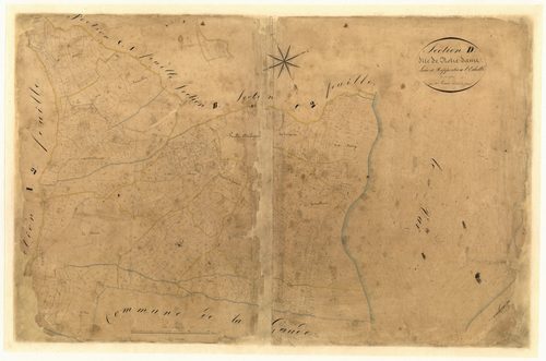 Notre Dame. - Plan de section, D