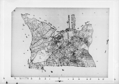 Notre Dame. - Plan de section, D