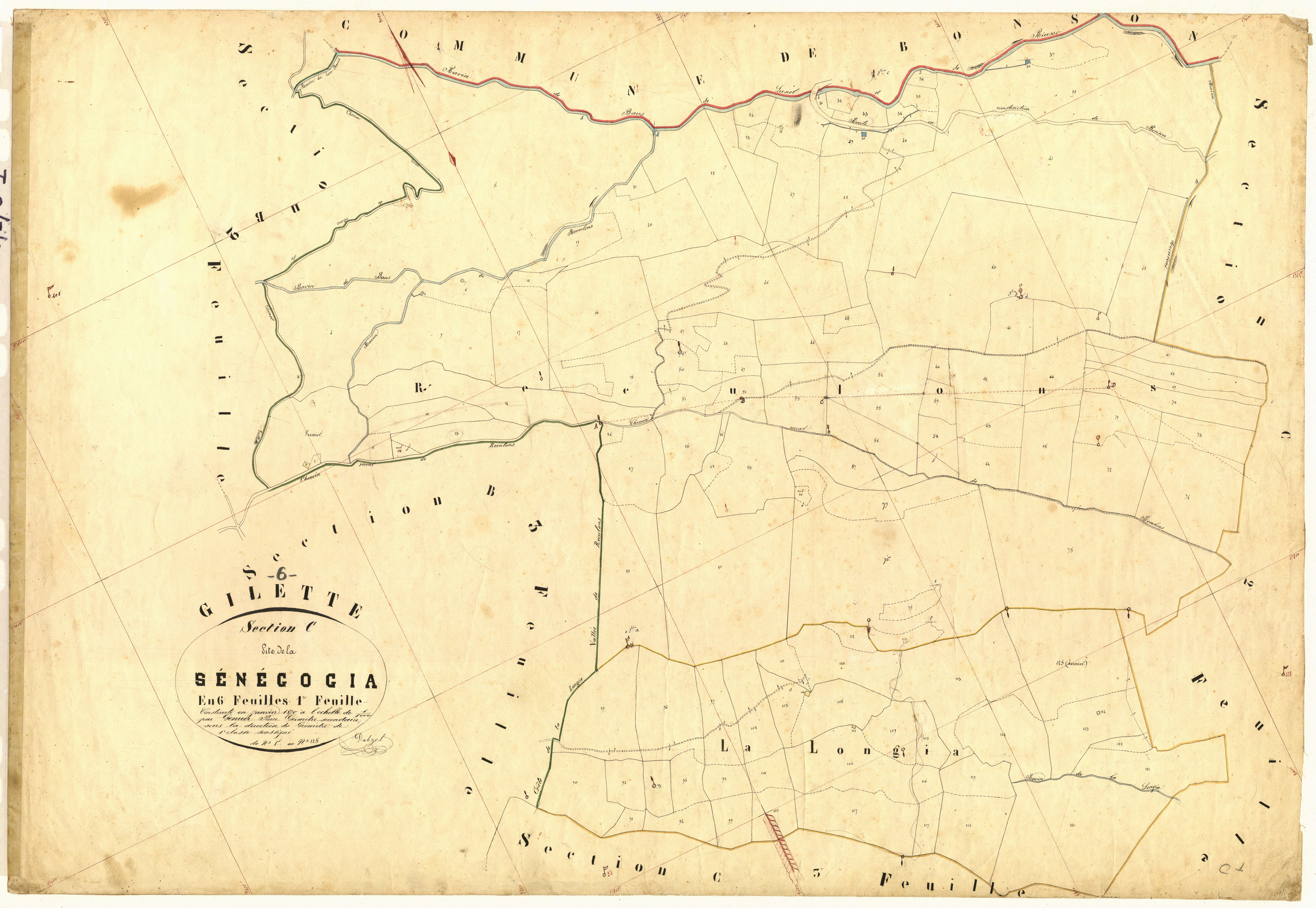 Senegogia. - Plan de section, C1