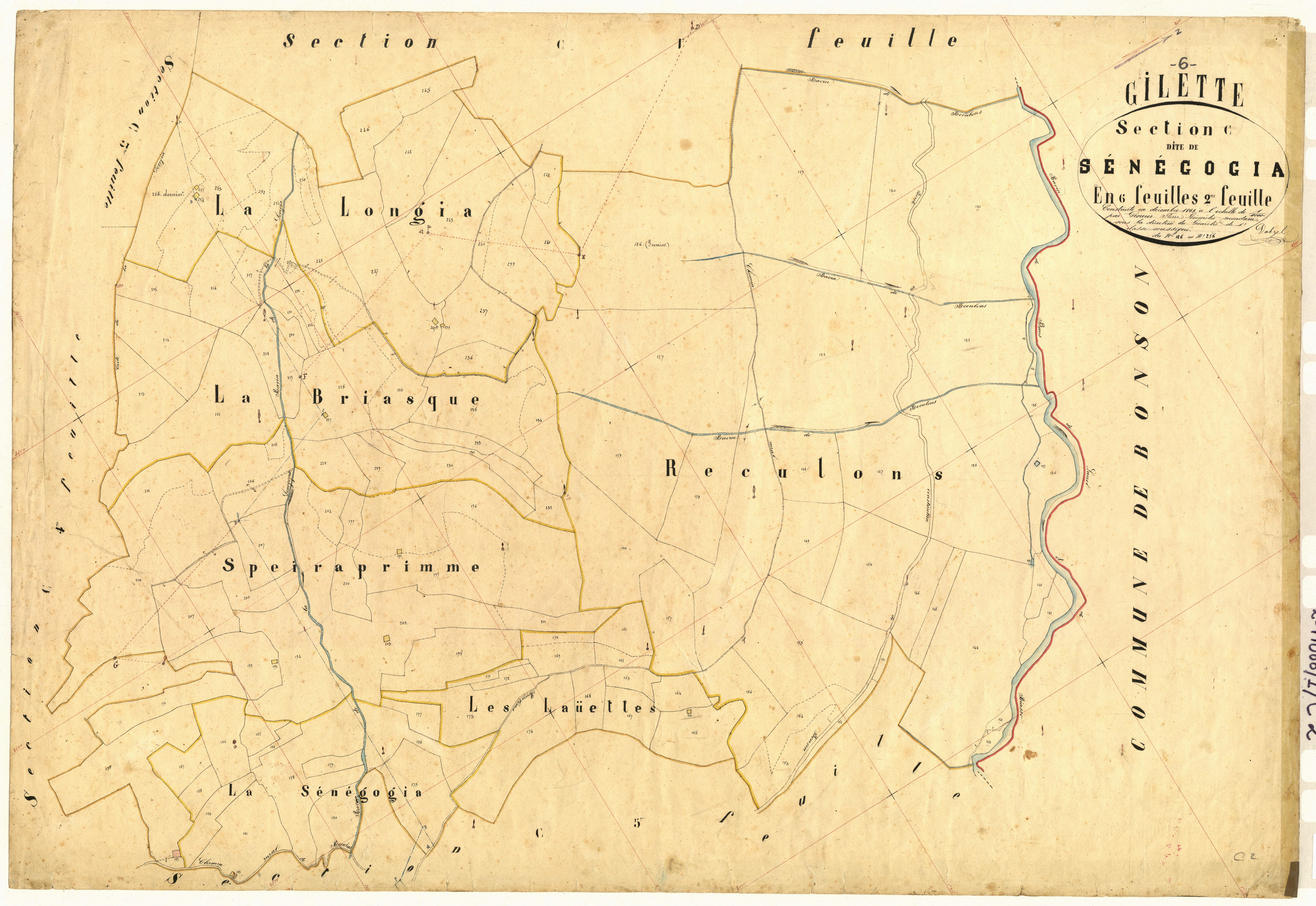 Senegogia. - Plan de section, C2