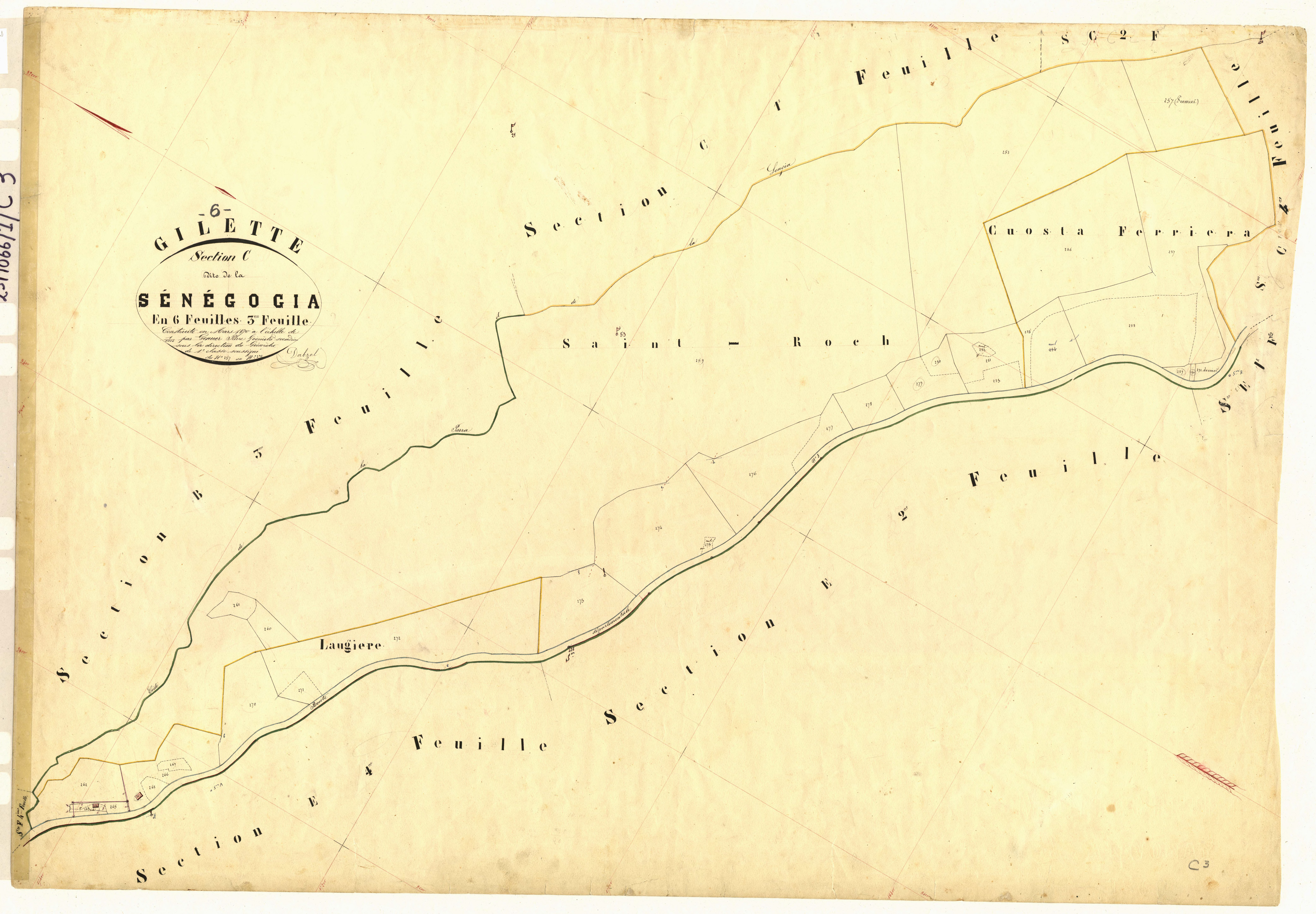 Senegogia. - Plan de section, C3