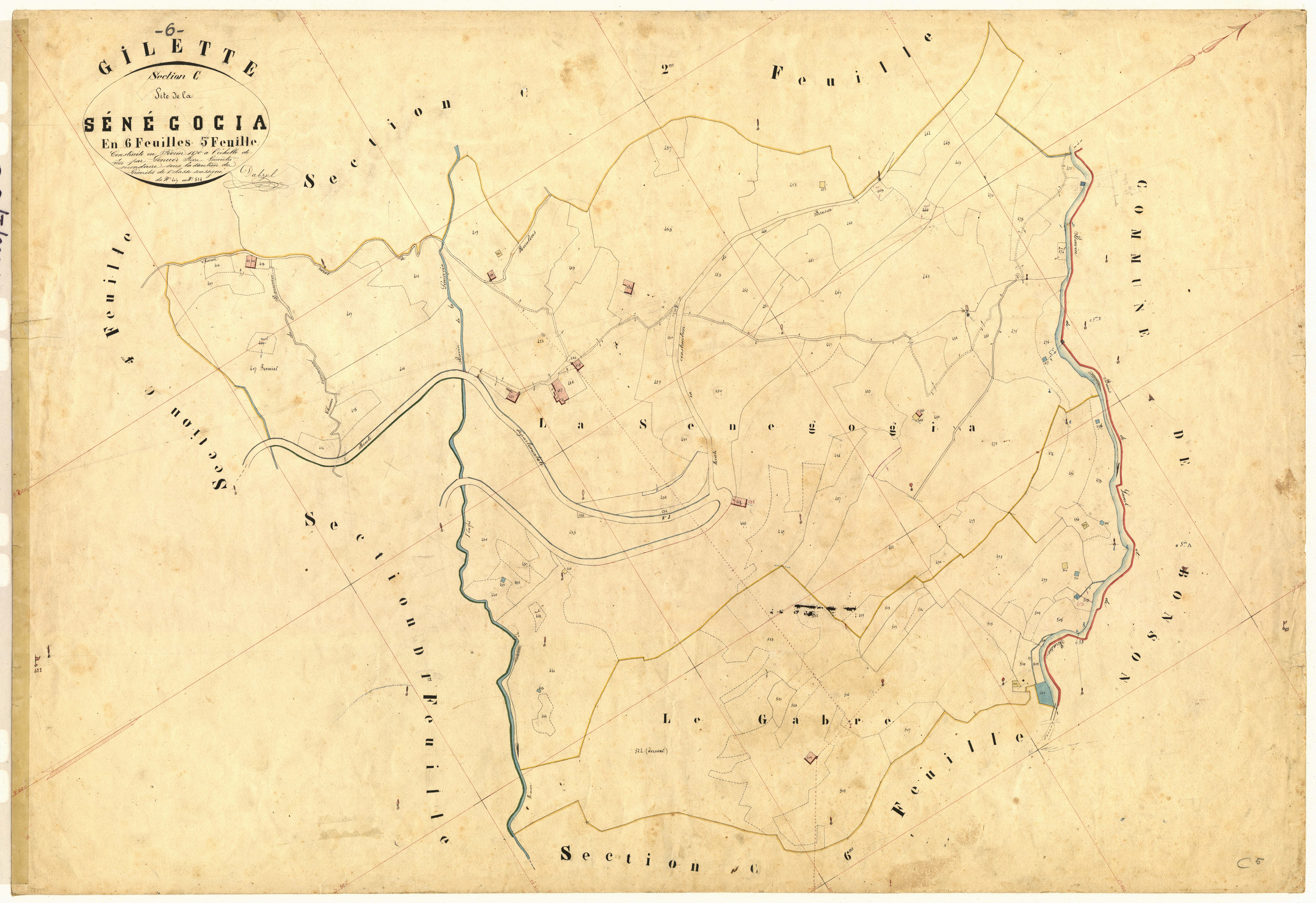 Senegogia. - Plan de section, C5