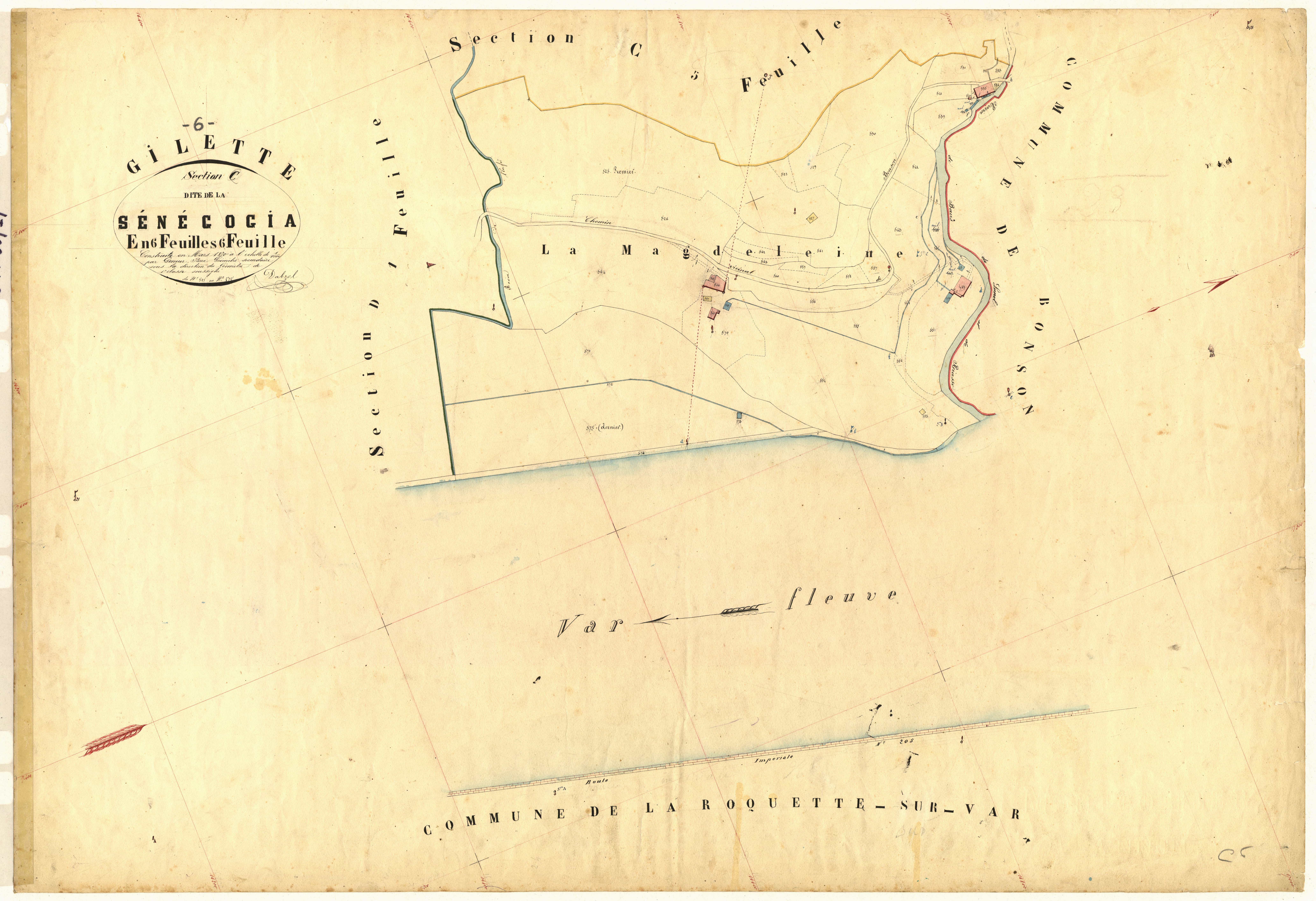 Senegogia. - Plan de section, C6
