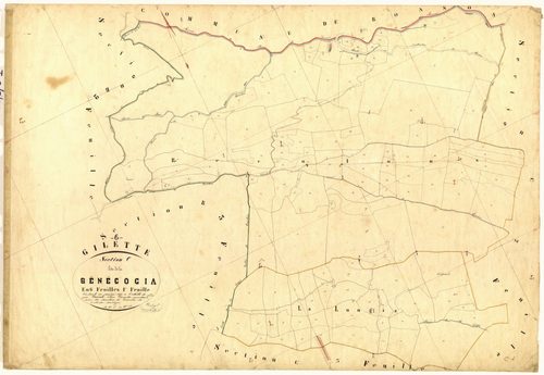 Senegogia. - Plan de section, C1