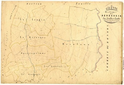 Senegogia. - Plan de section, C2