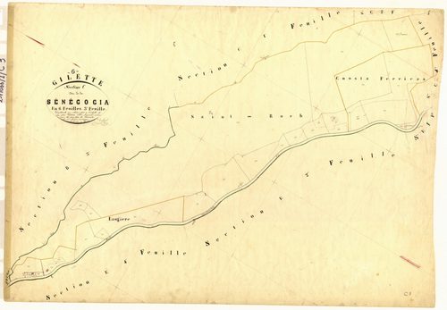 Senegogia. - Plan de section, C3