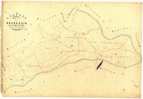 Senegogia. - Plan de section, C4