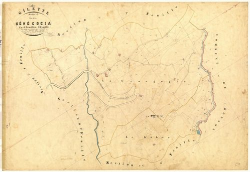 Senegogia. - Plan de section, C5