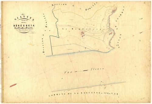 Senegogia. - Plan de section, C6