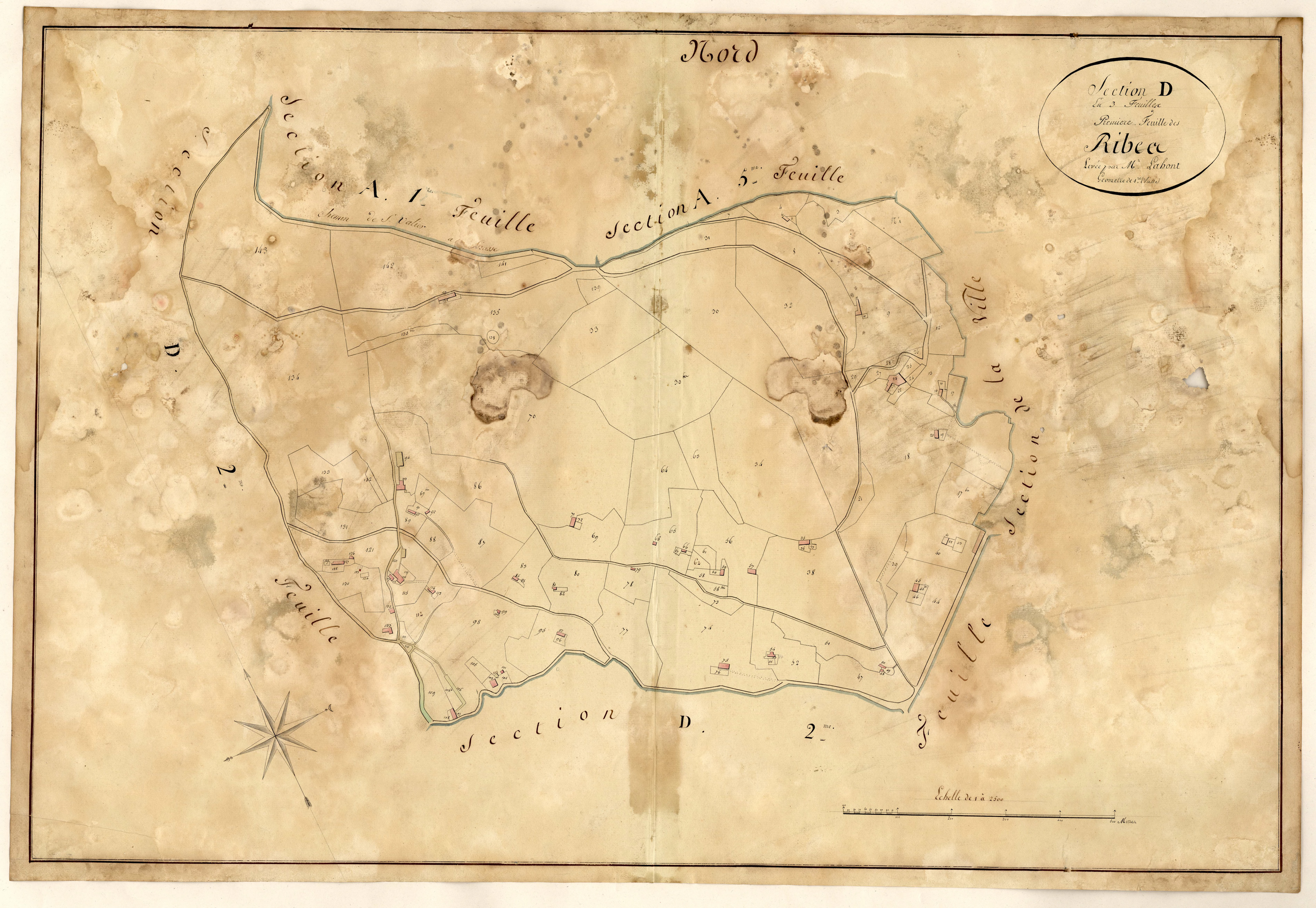 Les Ribbes (1ère partie). - Plan de section, D1(1)