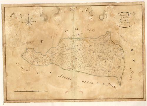 Le Carri. - Plan de section, B6