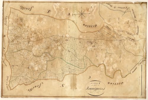 Roumiguerese. - Plan de section, C4