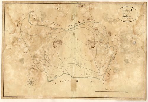 Les Ribbes (1ère partie). - Plan de section, D1(1)