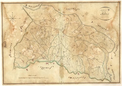 Les Ribes. - Plan de section, D2