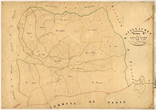 Segiliere. - Plan de section, D1