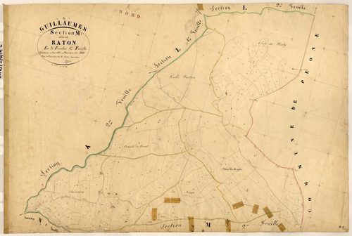 Raton. - Plan de section, M1
