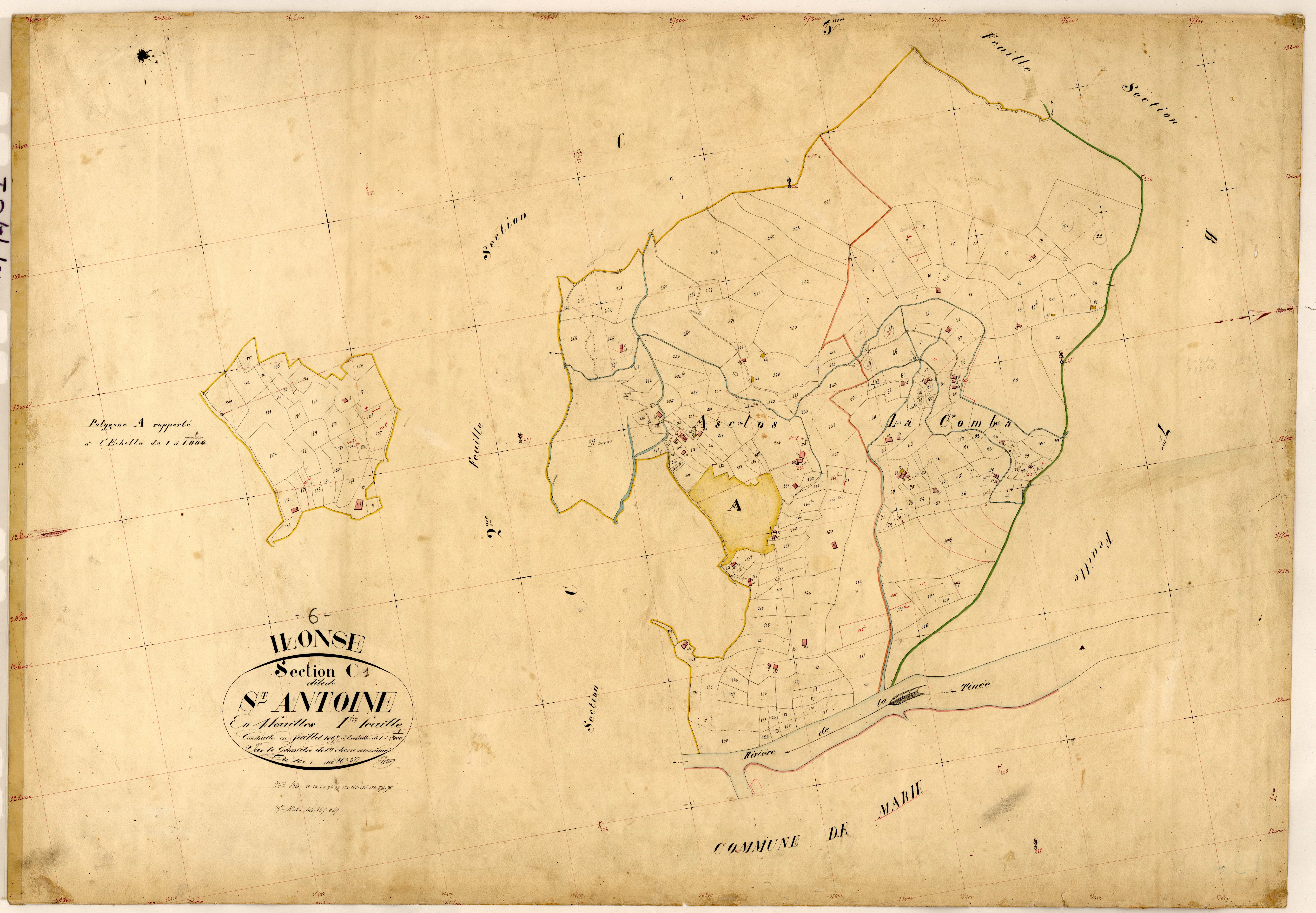 Saint Antoine. - Plan de section, C1