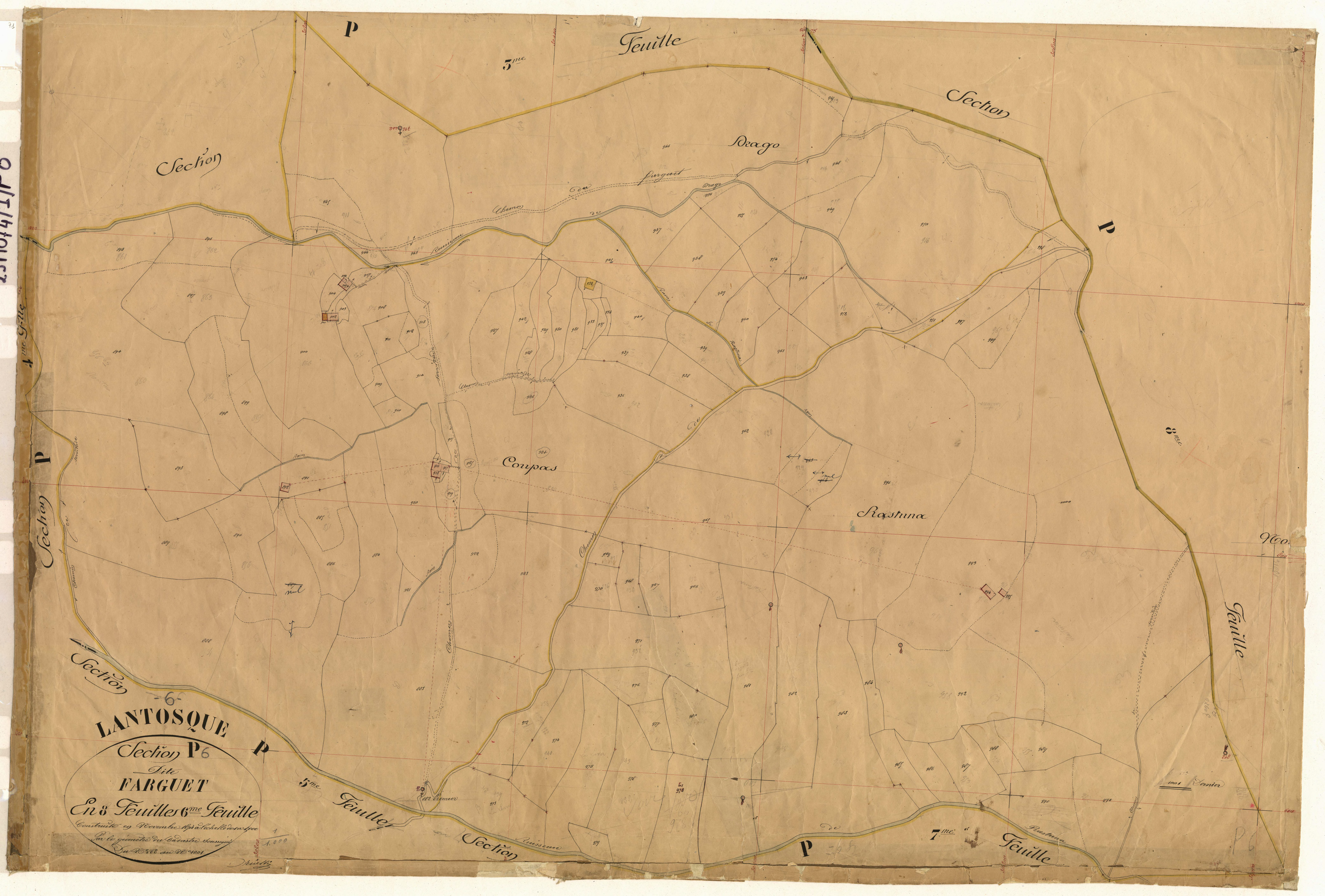 Farguet. - Plan de section, P6