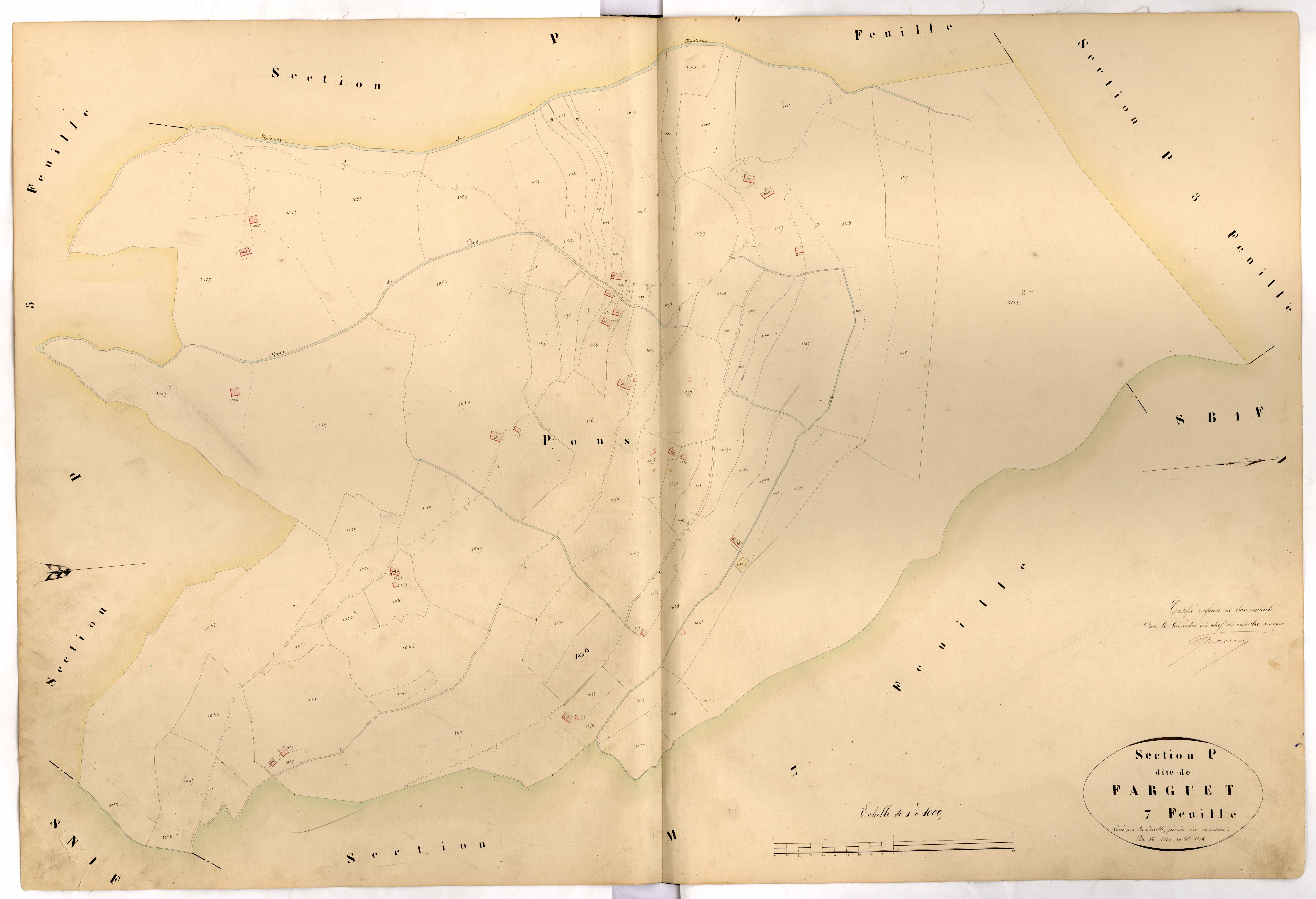 Farguet. - Plan de section, P7