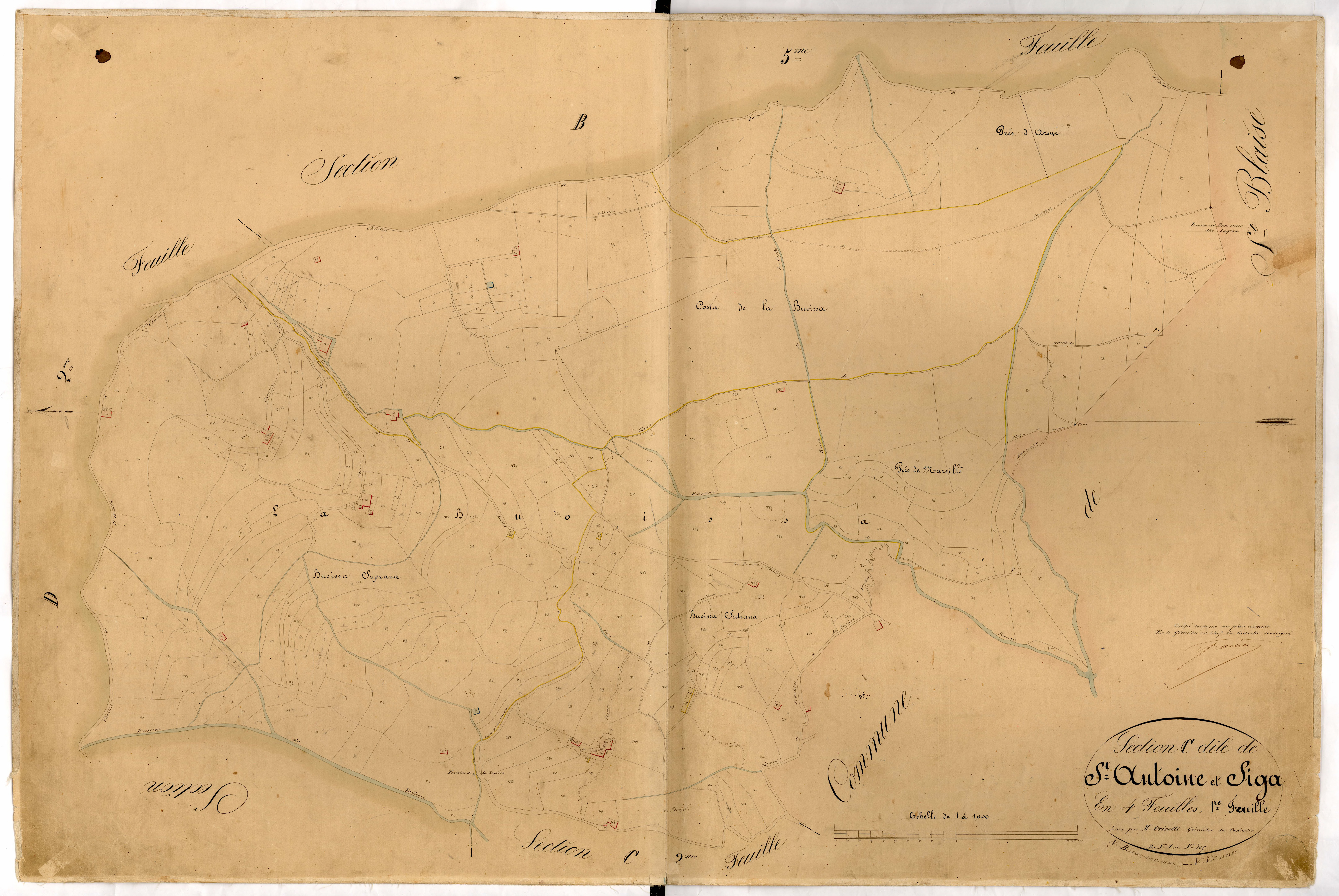 Saint Antoine et Siga. - Plan de section, C1