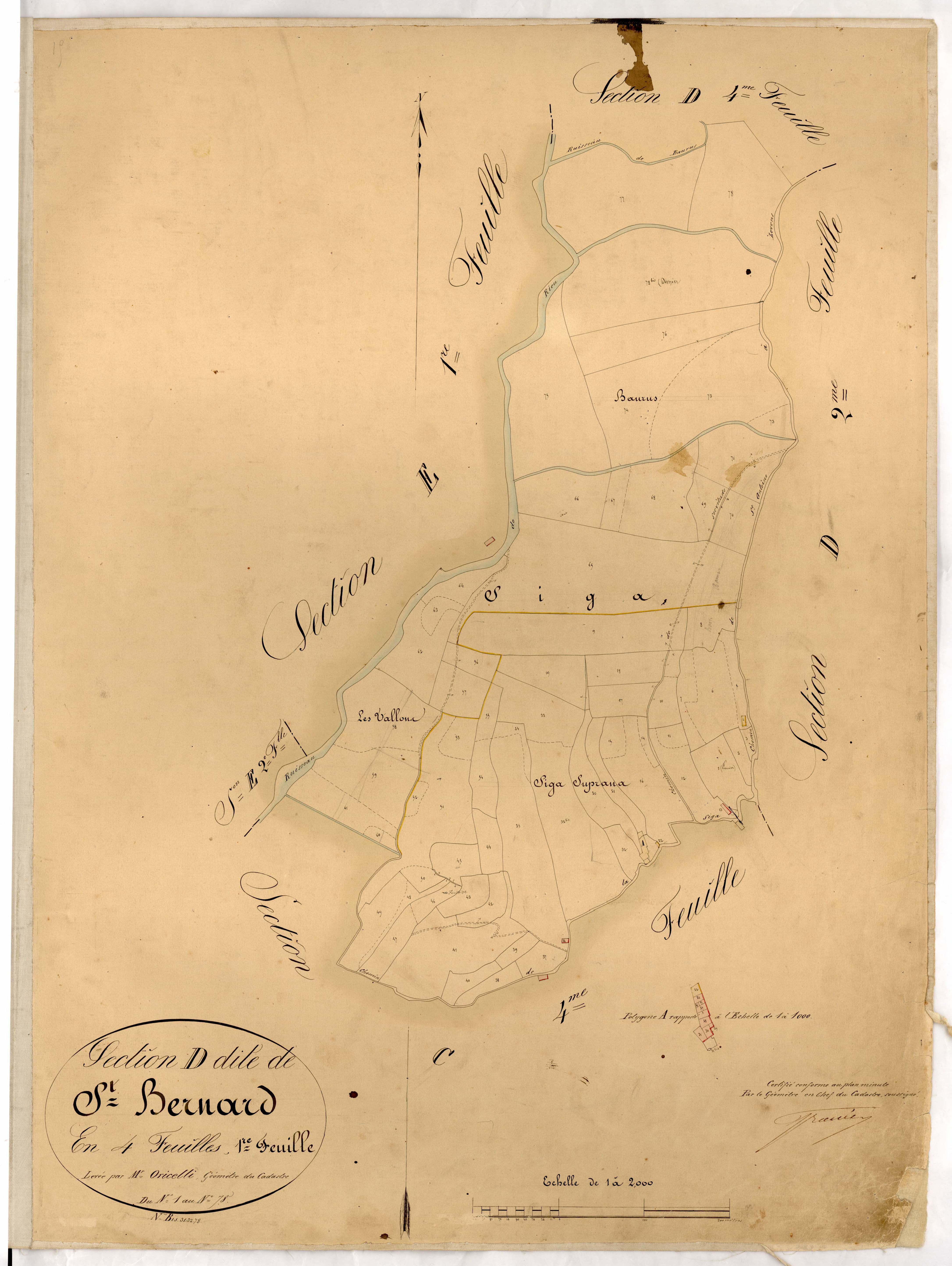 Saint Bernard. - Plan de section, D1