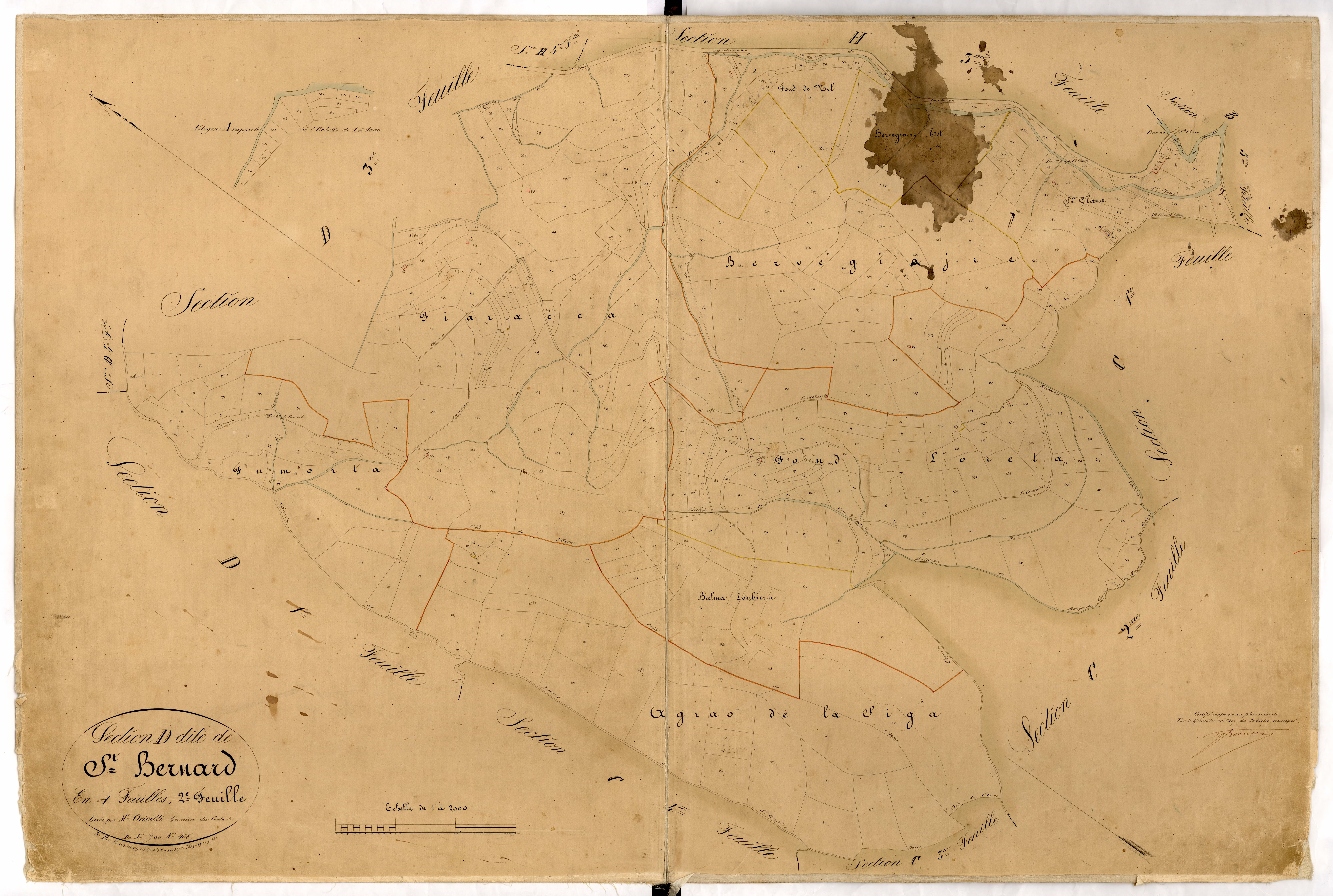 Saint Bernard. - Plan de section, D2