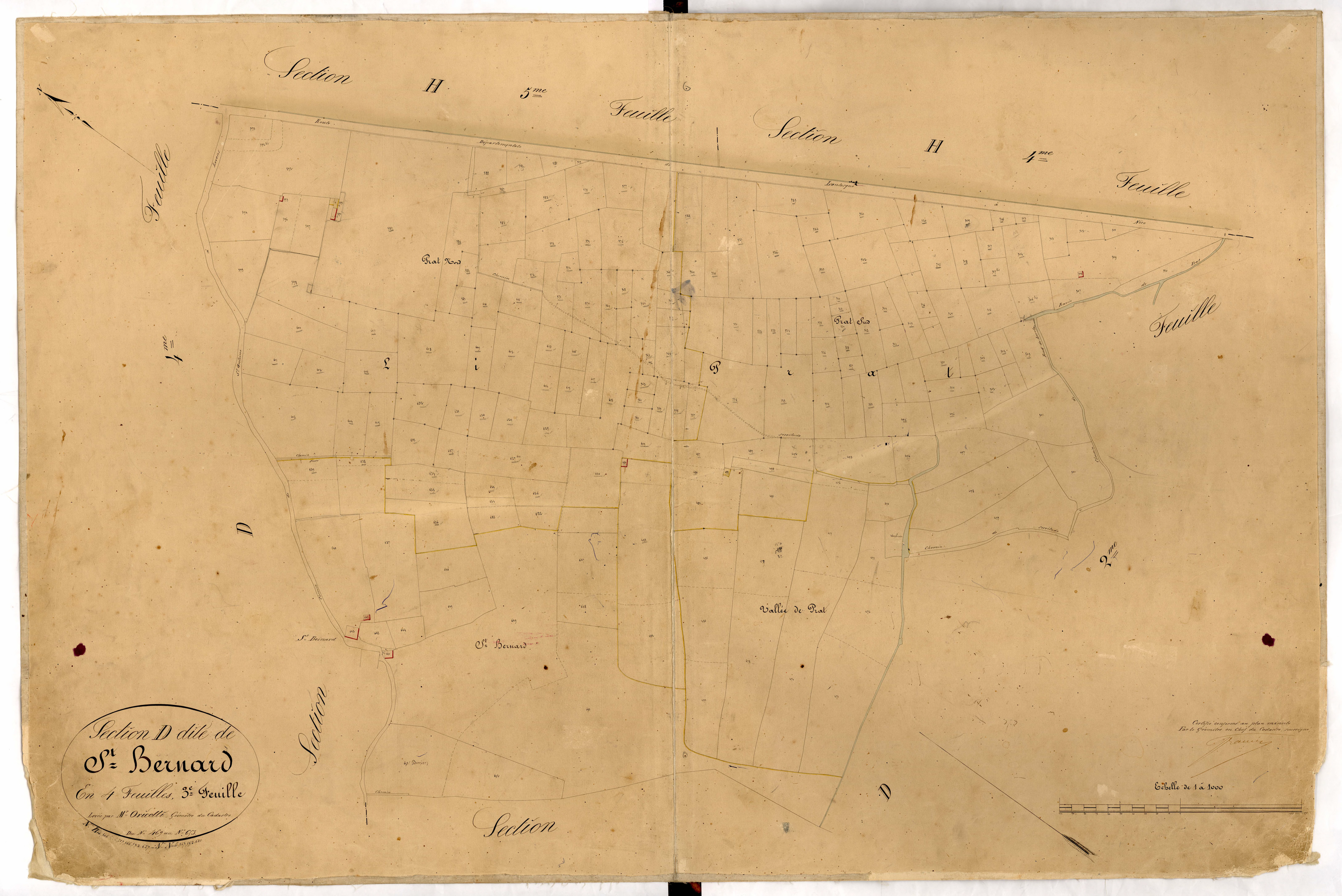 Saint Bernard. - Plan de section, D3