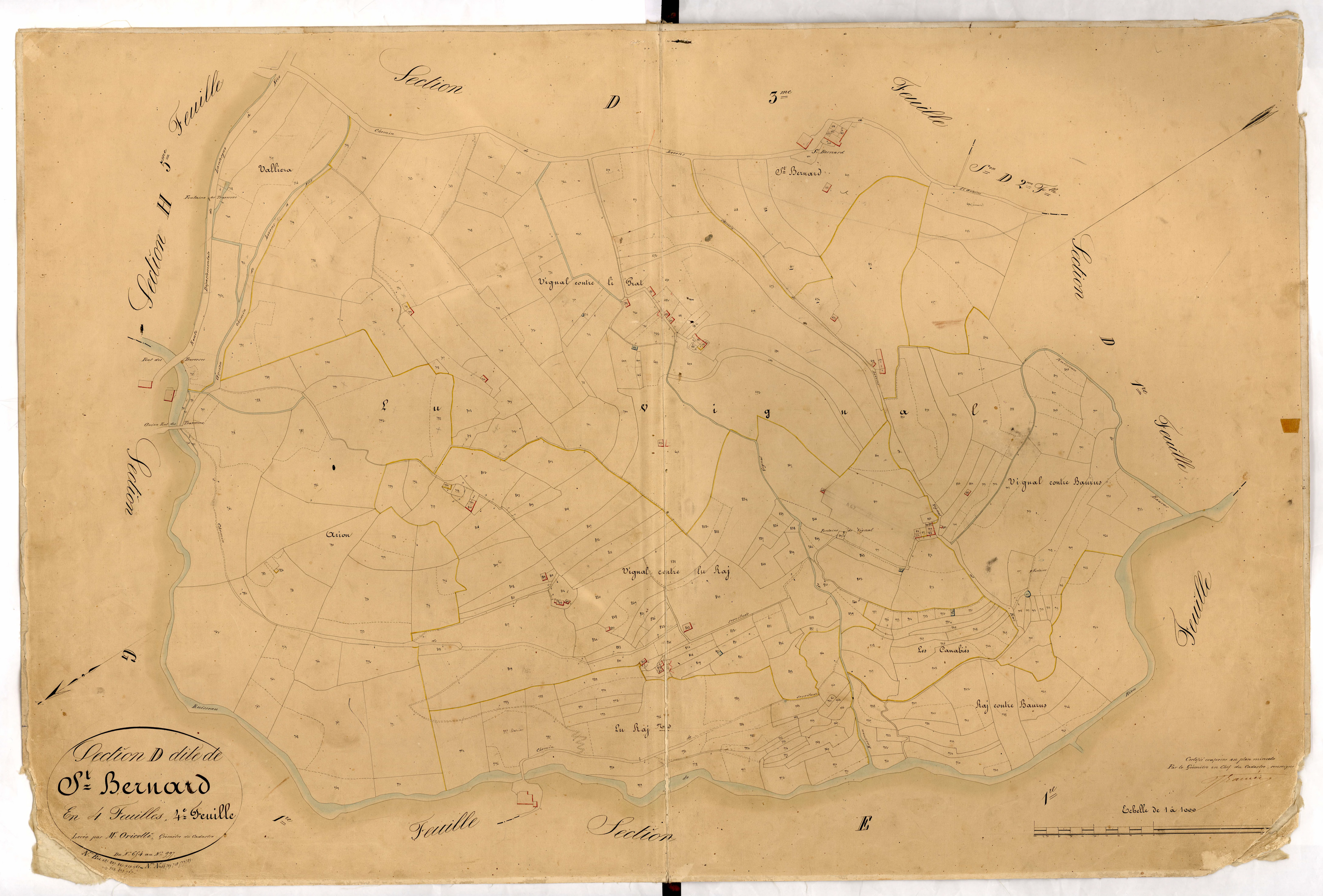Saint Bernard. - Plan de section, D4