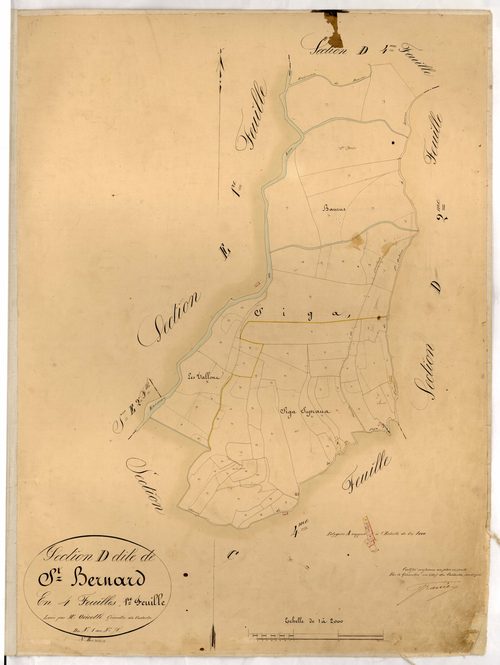 Saint Bernard. - Plan de section, D1