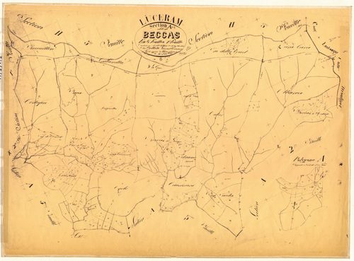 Beccas. - Plan de section, A1