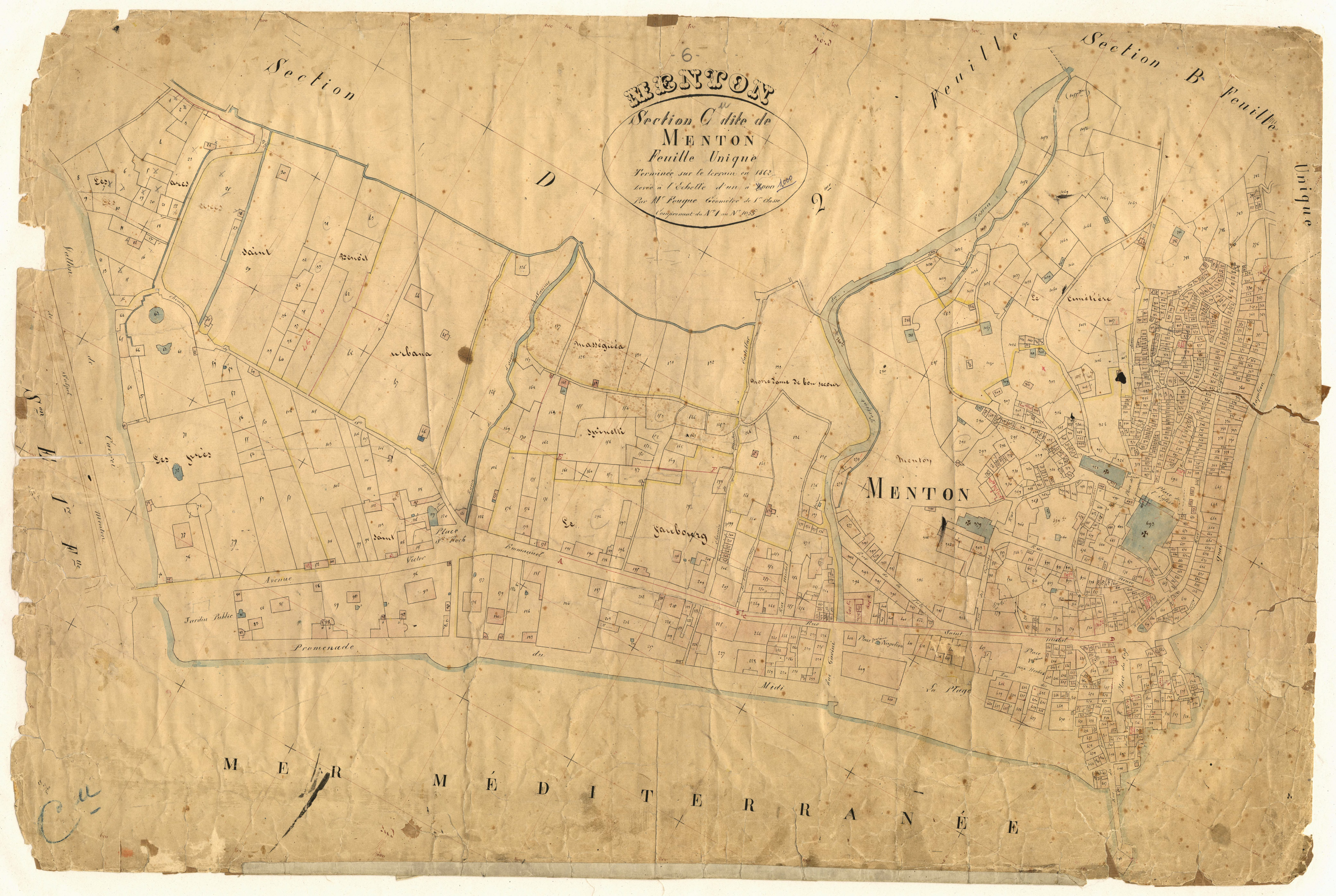 Menton. - Plan de section, C