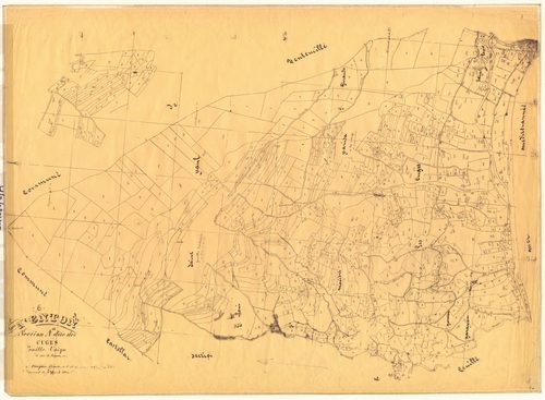 Les Cuges. - Plan de section, A