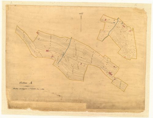 Les Cuges (développement). - Plan de section, A(d)