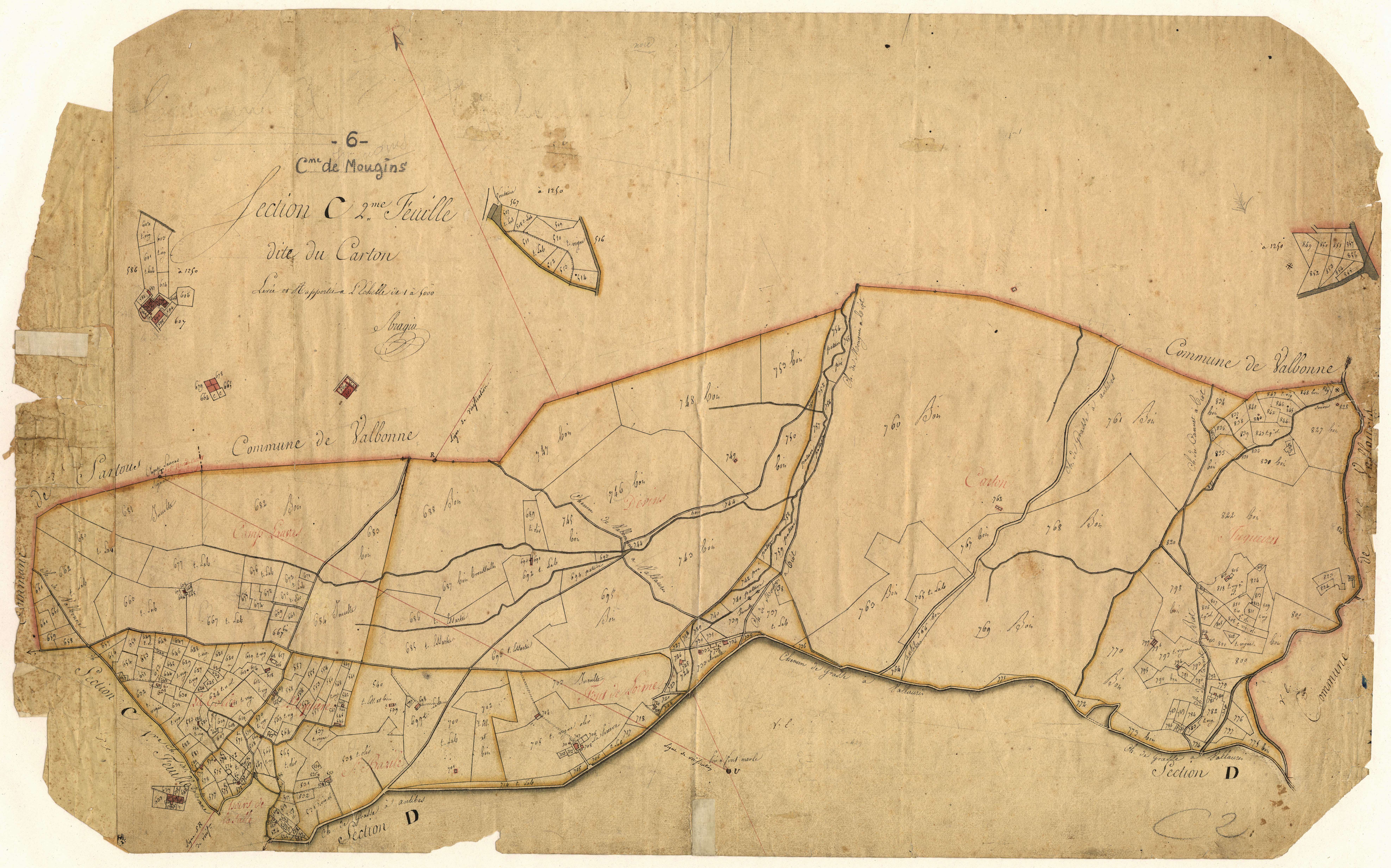Le Carton. - Plan de section, C2