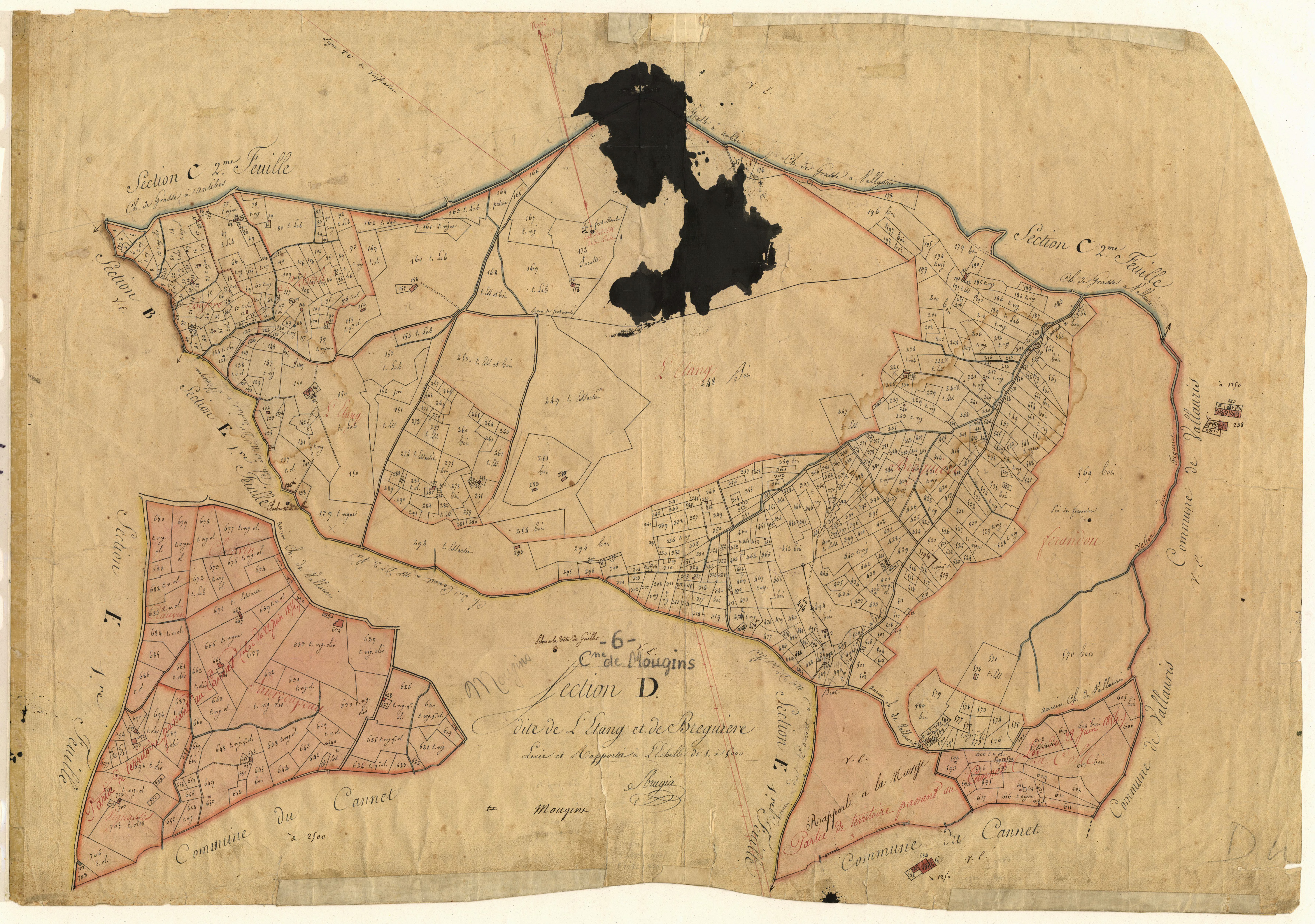 L'Etang et Breguière. - Plan de section, D