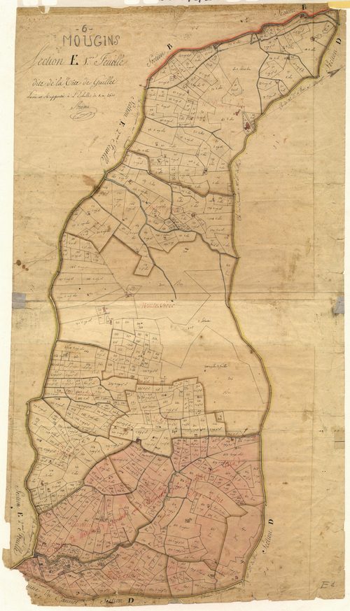 La Tête de Guillet. - Plan de section, E1