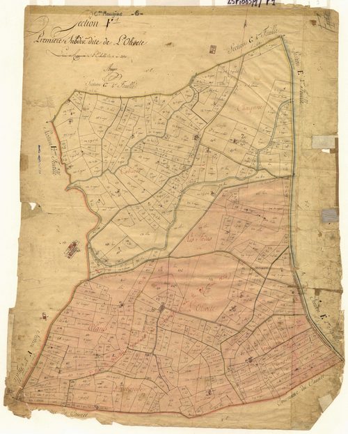 L'Olivete. - Plan de section, F1