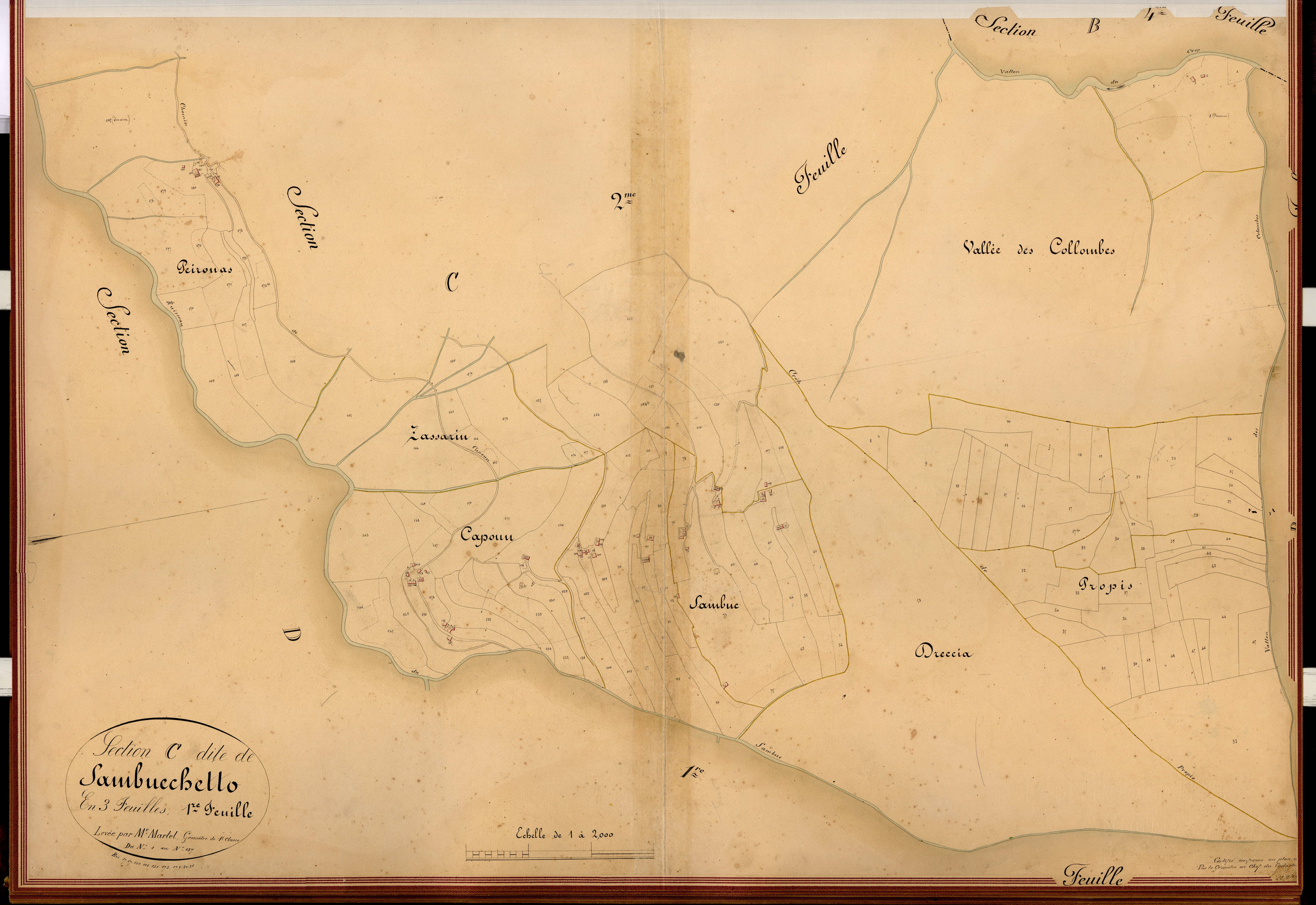 Sambucchetto. - Plan de section, C1