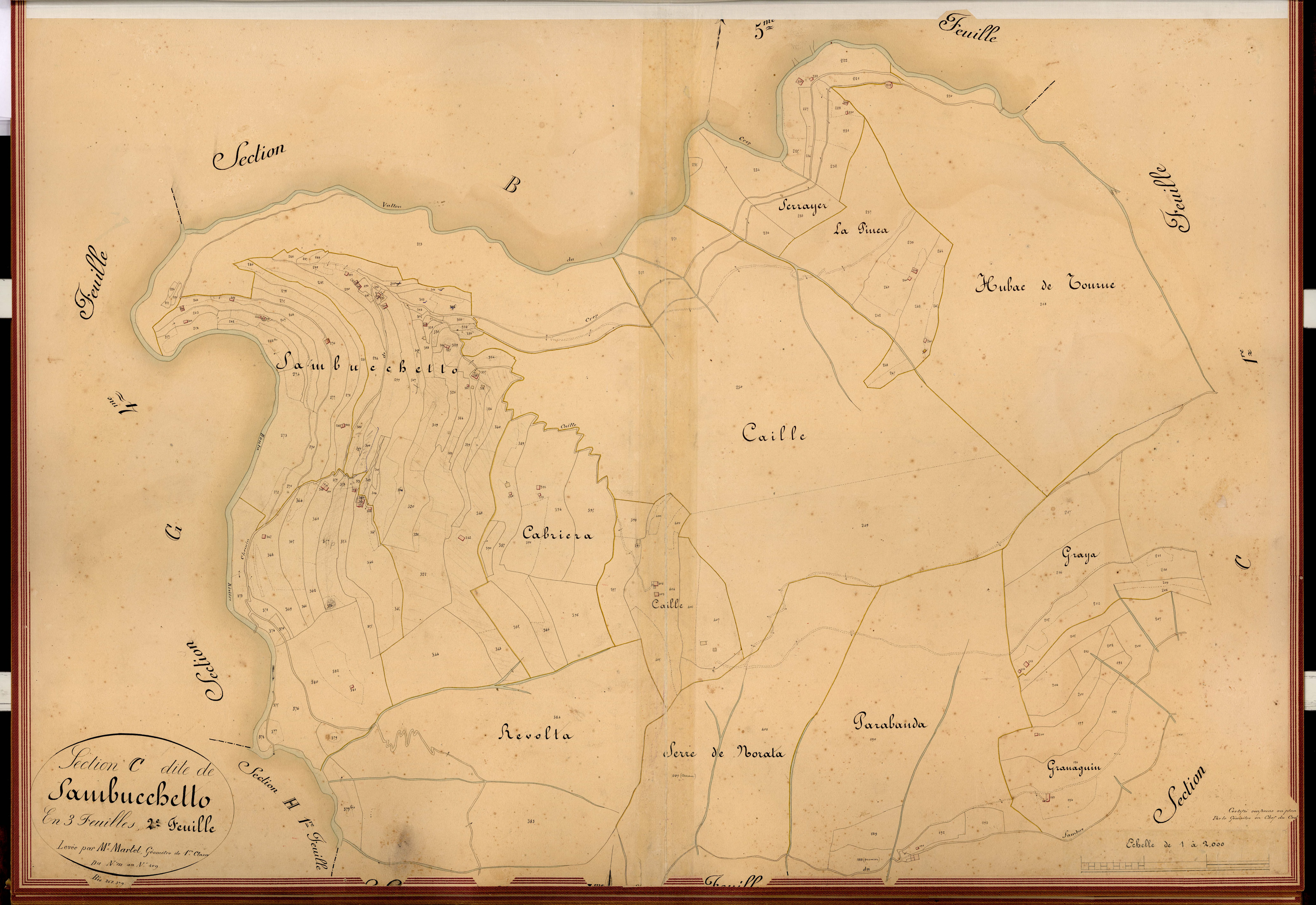 Sambucchetto. - Plan de section, C2